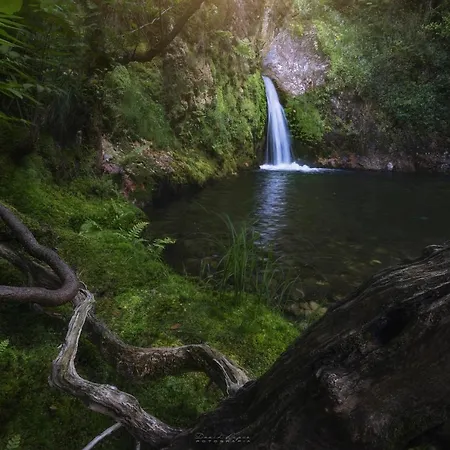 Rural La Sobreisla