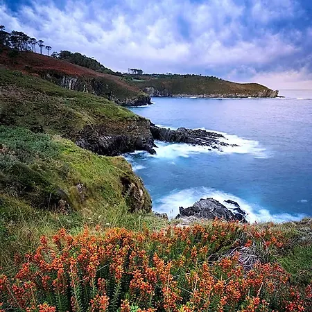 Rural La Sobreisla 韦加港