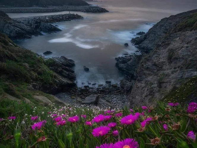 Rural La Sobreisla Hotel Puerto de Vega